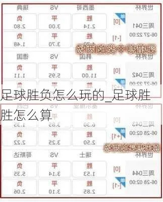 世界杯投注里面的胜负注 世界杯胜负怎么买-第2张图片-www.211178.com_果博福布斯